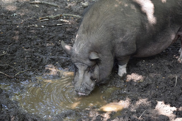 路交通保持 路交通保持