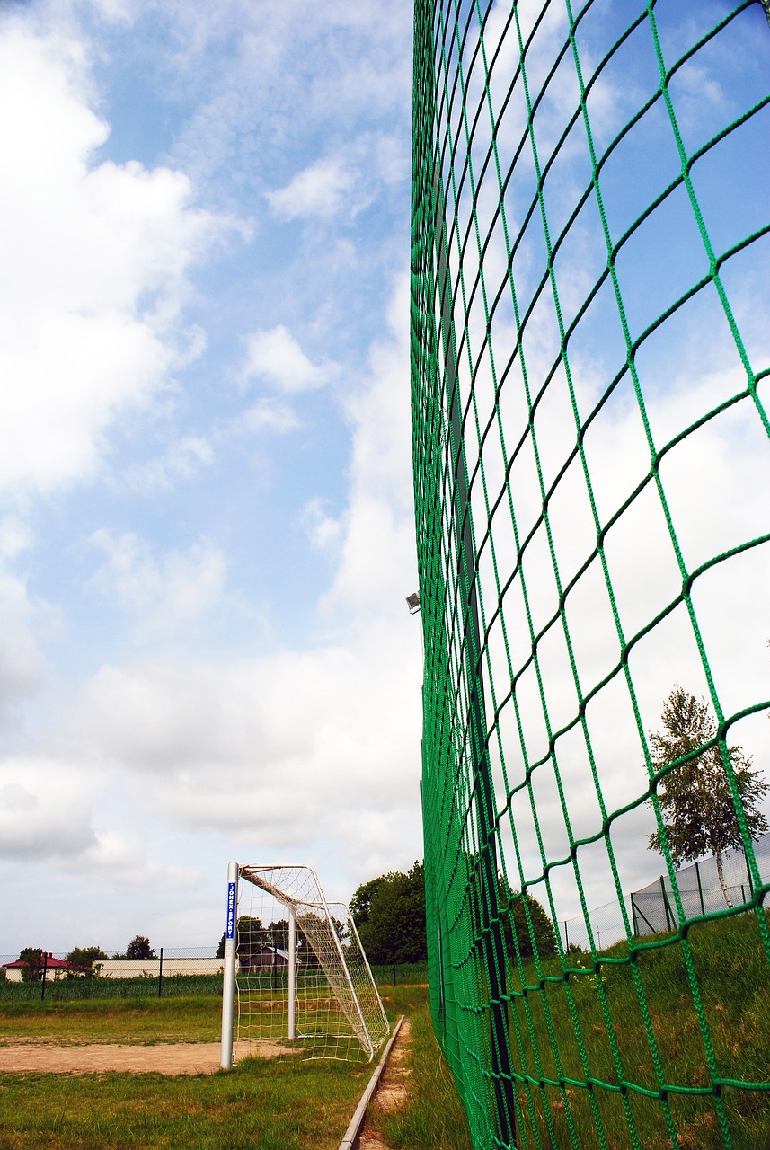 的他们正逐 的他们正逐