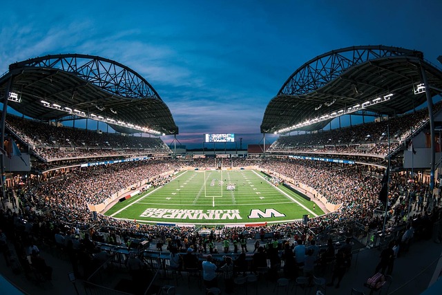 自己的行为 自己的行为