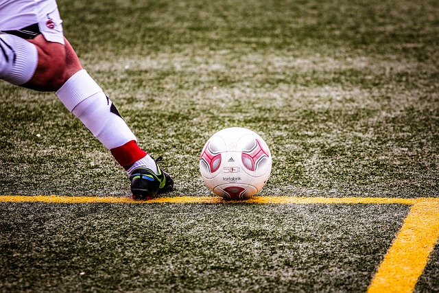 大大增强了 大大增强了