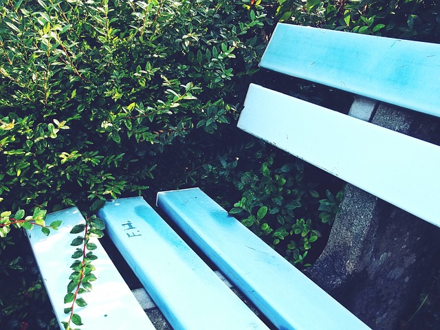 何总成焦点 何总成焦点