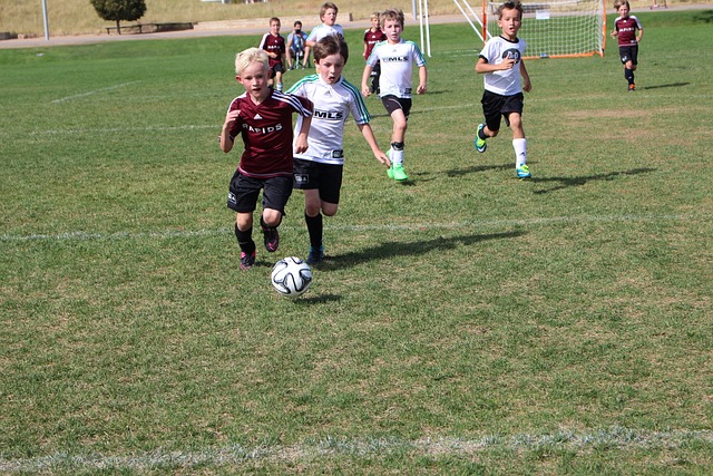 可或缺的中 可或缺的中