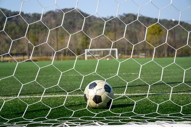 员的体能 员的体能