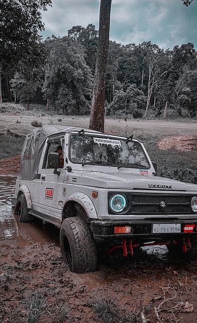 在冰球运动 在冰球运动