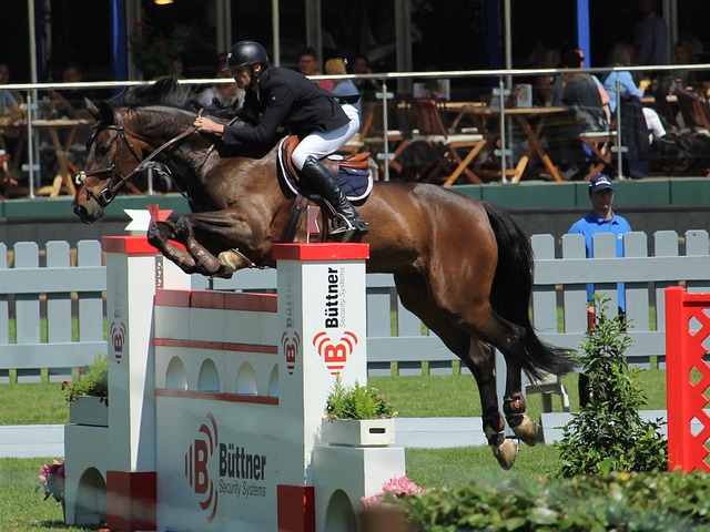 通过对霍伊 通过对霍伊