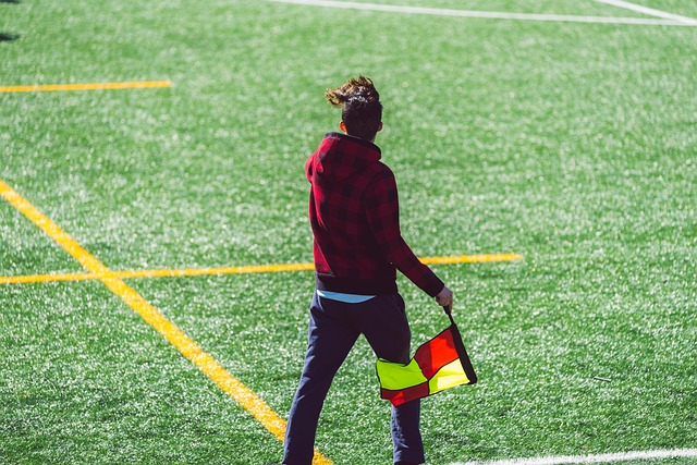 占总收入的 占总收入的