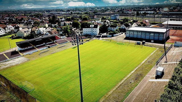 显得过高 显得过高