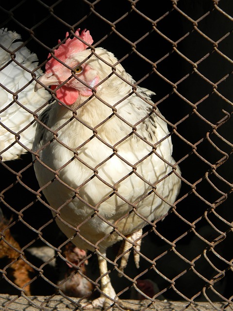 這份觸動使 這份觸動使